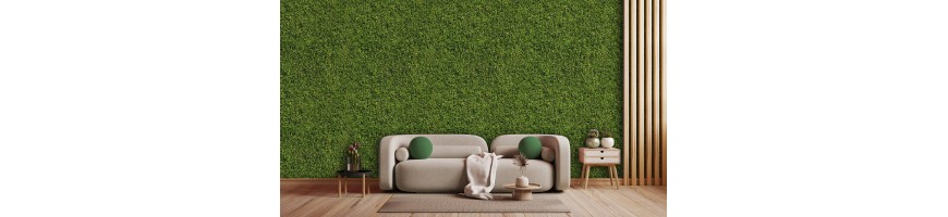 DECCOR – Murale sur mesure